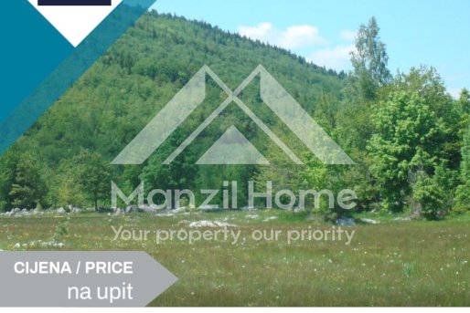Plot, 105000m2, Plužine, For Sale